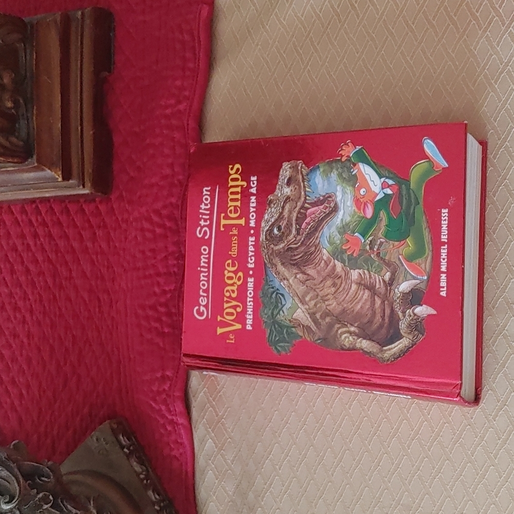 Geronimo Stilton: VOYAGE DANS LE TEMPS 1 - préhistoire, Egypte - Moyen Age